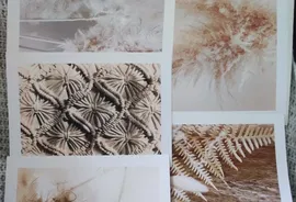 Zestaw 6 plakatów na ścianę