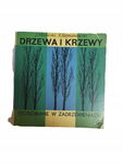 Drzewa i krzewy stosowane w zadrzewieniach Hejmanowski