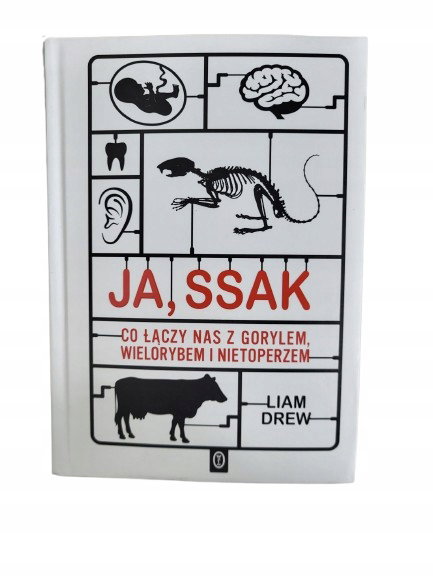 Ja ssak Drew
