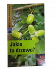 Jakie to drzewo Spohn