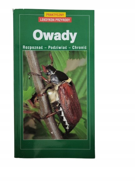 Owady rozpoznawać podziwiać chronić