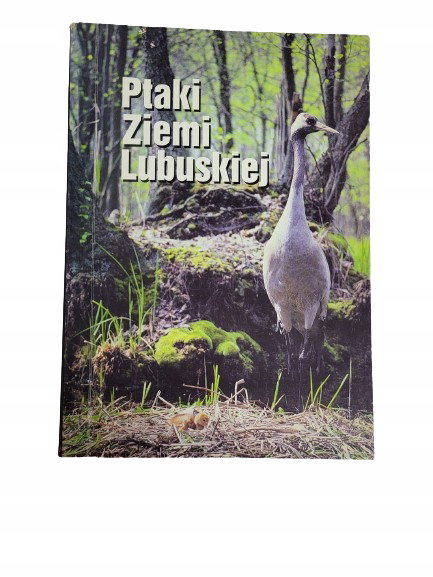 Ptaki Ziemi Lubuskiej Jermaczek