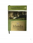 Irlandia Celtycki splot Bryll
