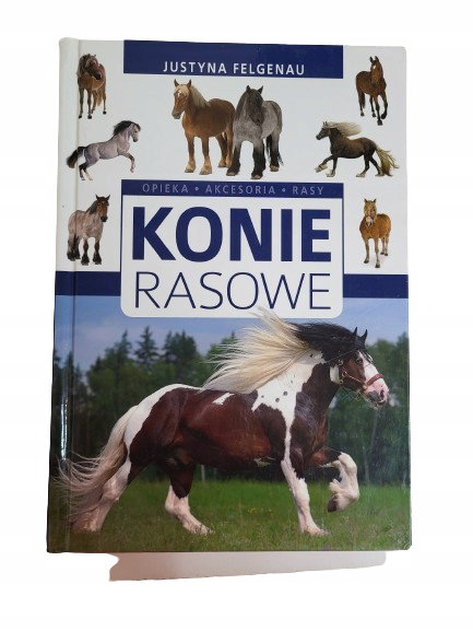 Konie rasowe Felgenau