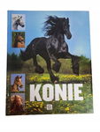 Konie Wengerek