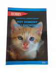 Kot domowy czyli dachowiec Lorens-Padzik