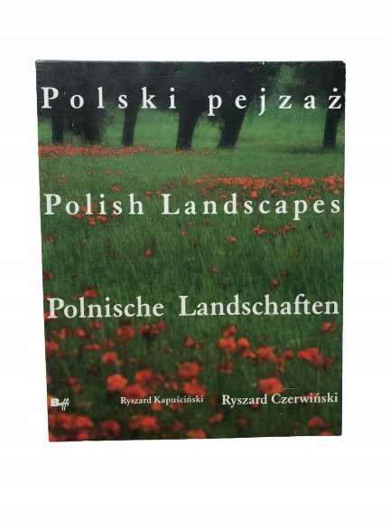 Polski pejzaż Czerwiński