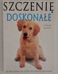 Szczenię doskonałe Bailey