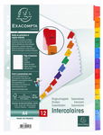 Exacompta 1113E Przekładki do segregatora JAN-DEC A4 wykonane z kartonu 12
