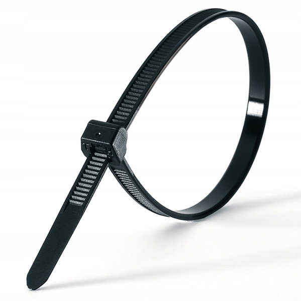 Opaska zaciskowa Parkside 650 cm  12 mm 20 szt komplet