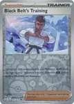 Black Belt's Training (JTG 145/190) Reverse Holo Journey Together