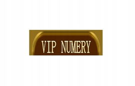 Złoty numer starter PLUS GSM GOLD VIP 534 333 939 INFOLINIA CESJA