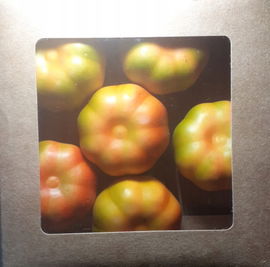 Dynia dynie sztuczna ozdoba jesienna dekoracyjna piankowa realistyczna 6szt