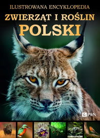 Ilustrowana Encyklopedia Zwierząt i Roślin Polski 608 stron
