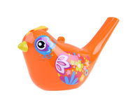 Ptaszek Gwizdek wodny Water Bird birds ptak gwizdek ZA1483