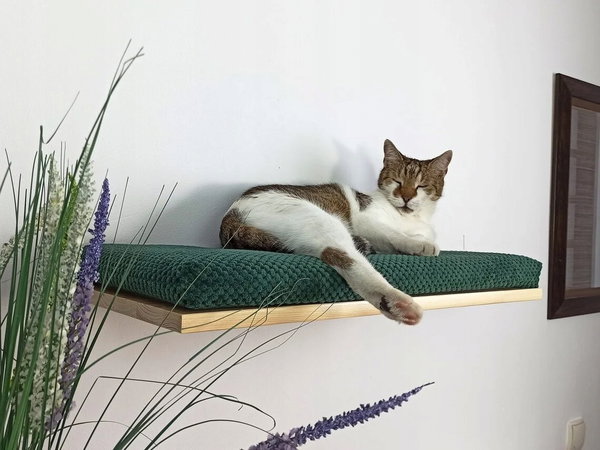 Półka ścienna dla kota, wisząca FLAT 75 cm SH-F75