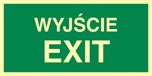 WYJŚCIE EXIT znak tablica ewakuacja płyta 150x300