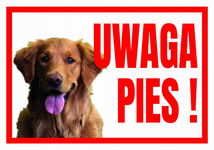 UWAGA PIES RETRIEVER 250x175 Tabliczka ostrzegawcza informacyjna  płyta PCV