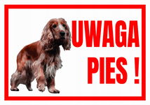 UWAGA PIES ! SPANIEL  250x175 Tabliczka ostrzegawcza informacyjna płyta PCV