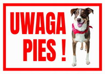 UWAGA PIES ! TERRIER 250x175 Tabliczka ostrzegawcza informacyjna płyta PCV