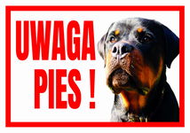 UWAGA PIES ROTTWEILER 250x175 Tabliczka ostrzegawcza informacyjna płyta PCV