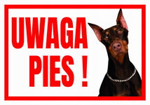 UWAGA PIES ! DOBERMAN 250x175 Tabliczka ostrzegawcza informacyjna płyta PCV