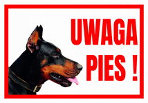 UWAGA PIES DOBERMAN 250x175 Tabliczka ostrzegawcza informacyjna - płyta PCV