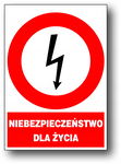 ZEZ/A-1 znak elektrycz NIEBEZPIECZEŃSTWO DLA ŻYCIA