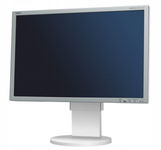 Biały Monitor LCD NEC EA221WM 22" 1680x1050 VGA DVI Kable Klasa A