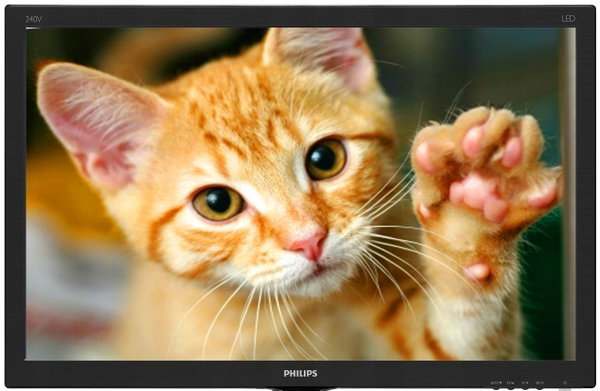 Monitor Philips 240V5Q 24" FHD IPS HDMI DVI VGA kable bez stopy klasaB foto