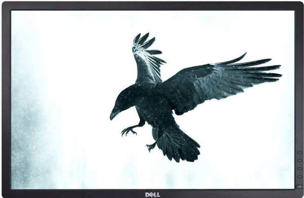 Monitor LED Dell U2412M 24" 1920x1200 DP DVI VGA IPS kable kl. B foto