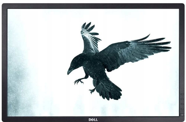 Dell U2412M | 24" | 1920X1200 | DP DVI VGA | Klasa B |Kable|FOTO|BEZ STOPY