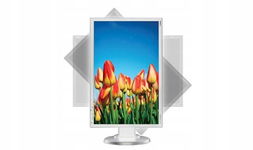 Monitor NEC EA241WM 24" 1920x1200 D-Sub DVI KABLE Głośniki KLASA A