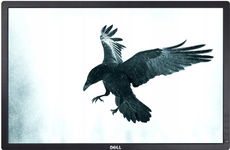 Monitor LED Dell U2412M 24" 1920x1200 DP DVI VGA IPS kable BEZ STOPY kl. B