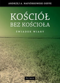 Ebook Kościół bez kościoła - Andrzej Napiórkowski