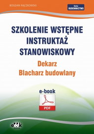 Ebook Szkolenie wstępne - Bogdan Rączkowski