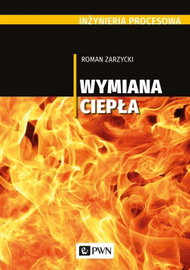 Ebook Inżynieria procesowa - Roman Zarzycki
