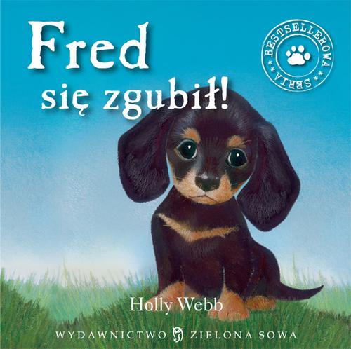 Audiobook mp3 Fred się zgubił - Holly Webb