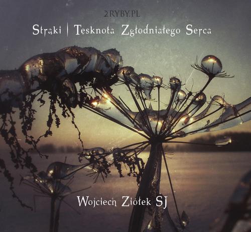Audiobook mp3 Strąki – tęsknota - Wojciech Ziółek
