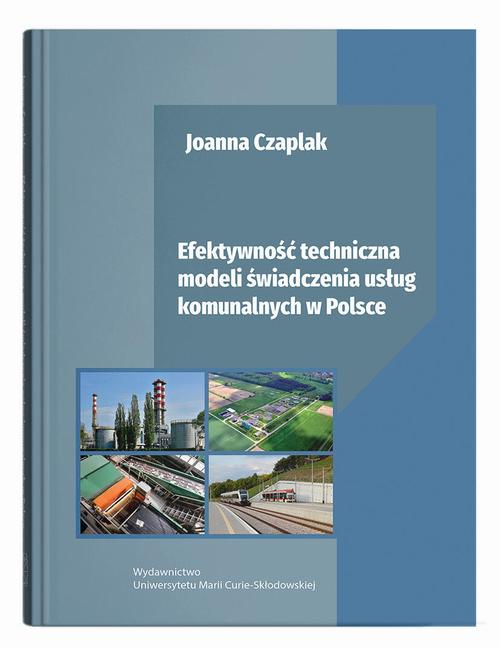 Ebook Efektywność techniczna - Joanna Czaplak