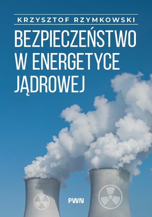 Ebook Bezpieczeństwo w - Krzysztof Rzymowski