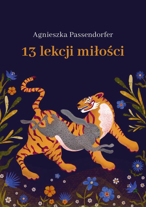 Ebook 13 lekcji miłości - Agnieszka Passendorfer