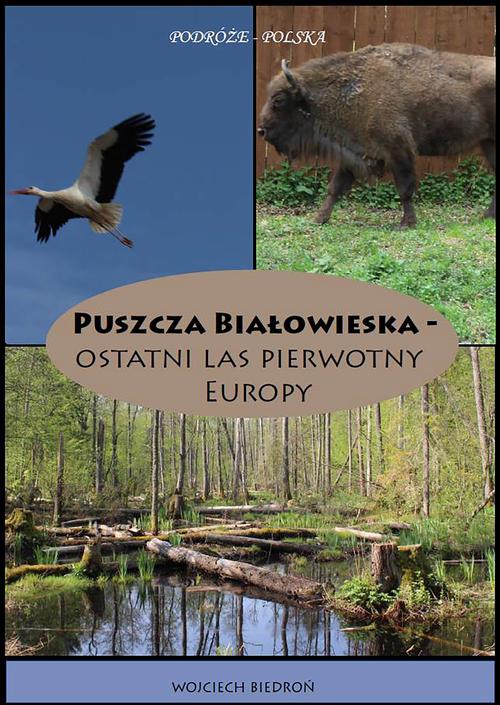 Ebook Puszcza Białowieska - Wojciech Biedroń
