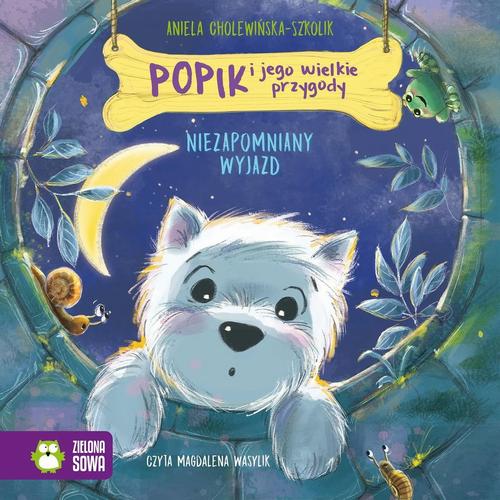 Audiobook mp3 Popik i jego wielkie przygody