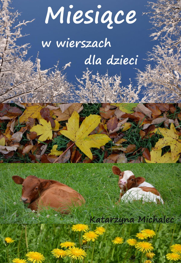 Ebook Miesiące w wierszach - Katarzyna Michalec