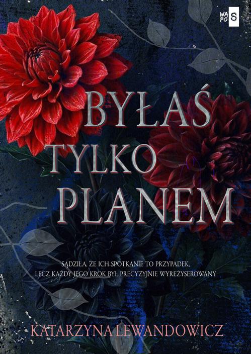 Ebook Byłaś tylko planem - Katarzyna Lewandowicz