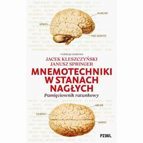 Ebook Mnemotechniki w stanach nagłych