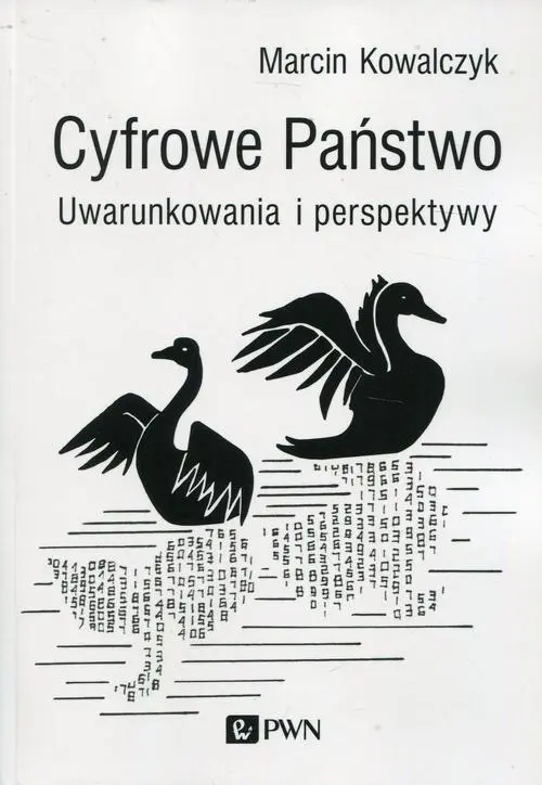 Ebook Cyfrowe Państwo - Marcin Kowalczyk