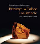(pdf) Bursztyn w Polsce i na świecie. Amber in Poland and in the World
