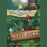 (mp3) Znalezisko – wysypisko